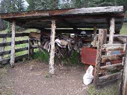 Bonita Cow Camp Corral